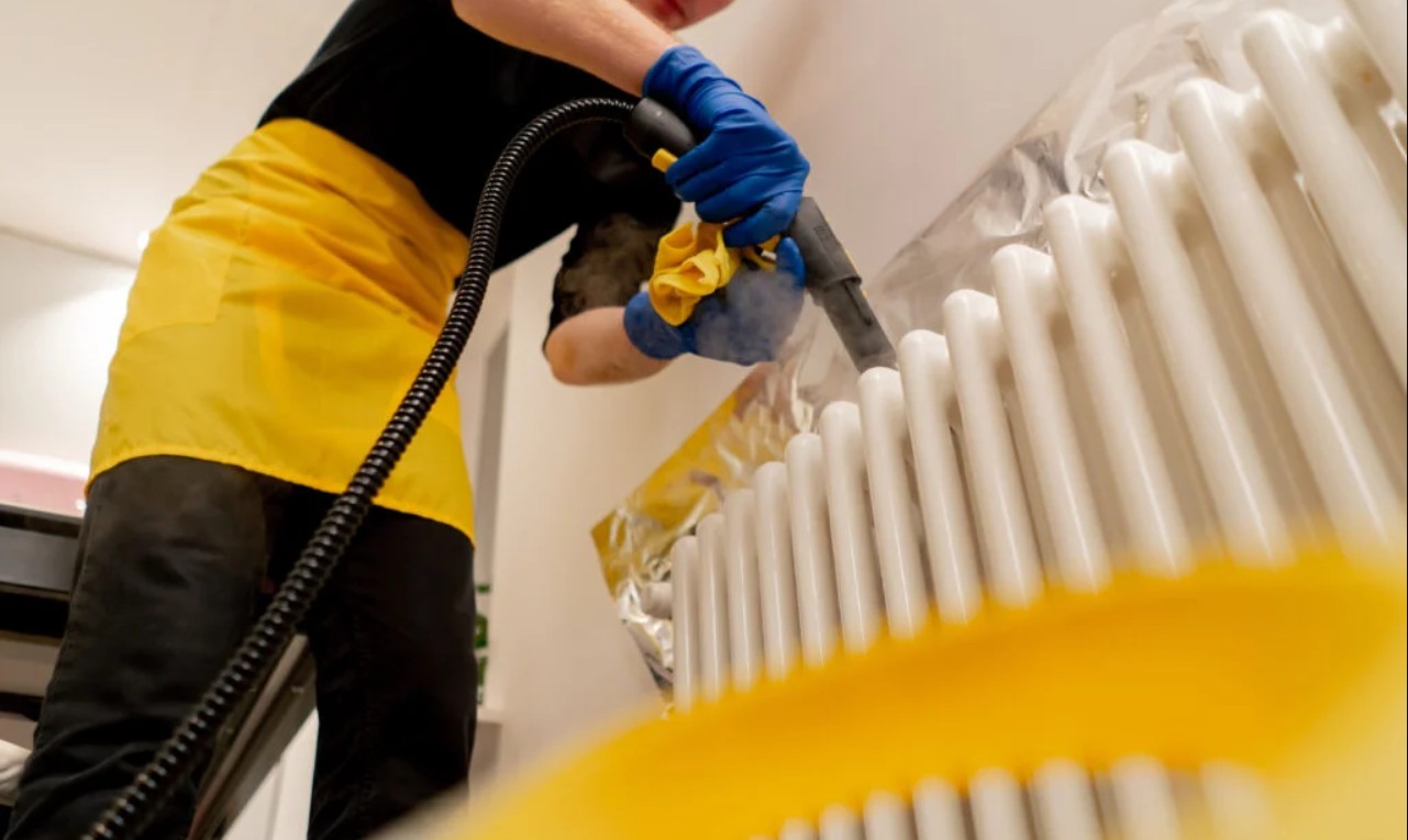 Professional cleaner at work